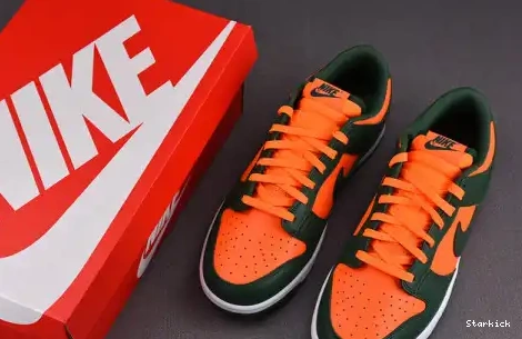 DD1391-300 Low Dunk Hurricanes Miami Nike 0706